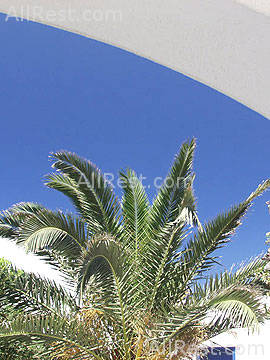 Mykonos Bay Hotel 19